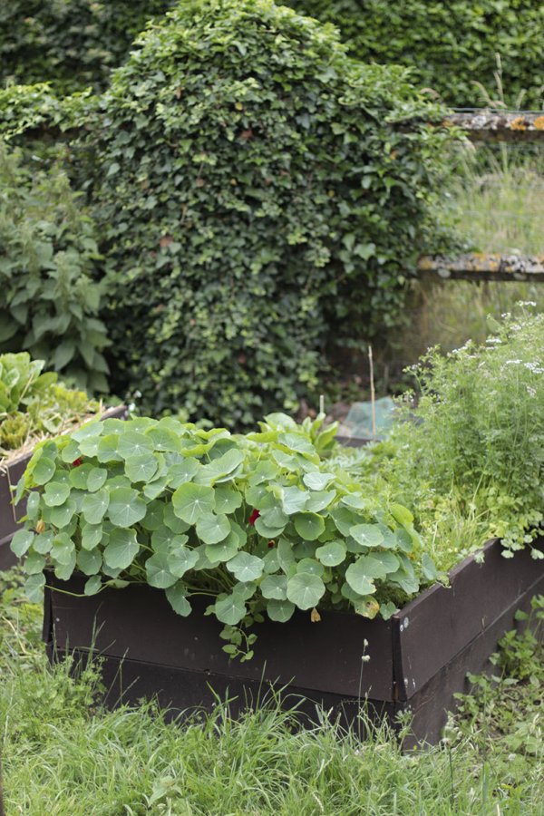 les bacs de potager © Alice Roca